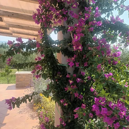 Castello Flower