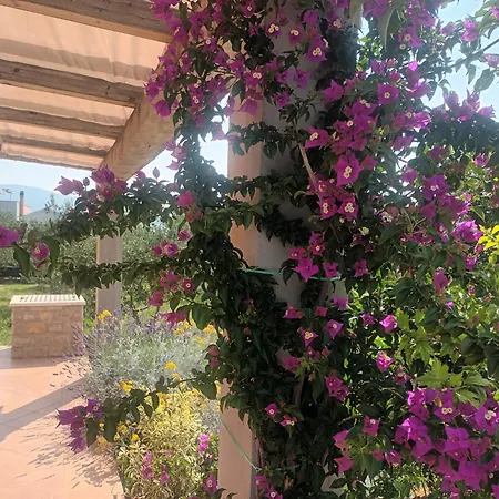 Castello Flower Apartment