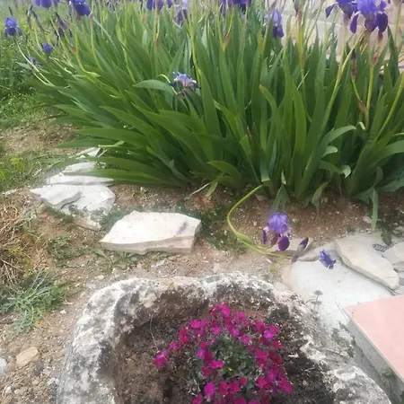 Castello Flower * Каштела